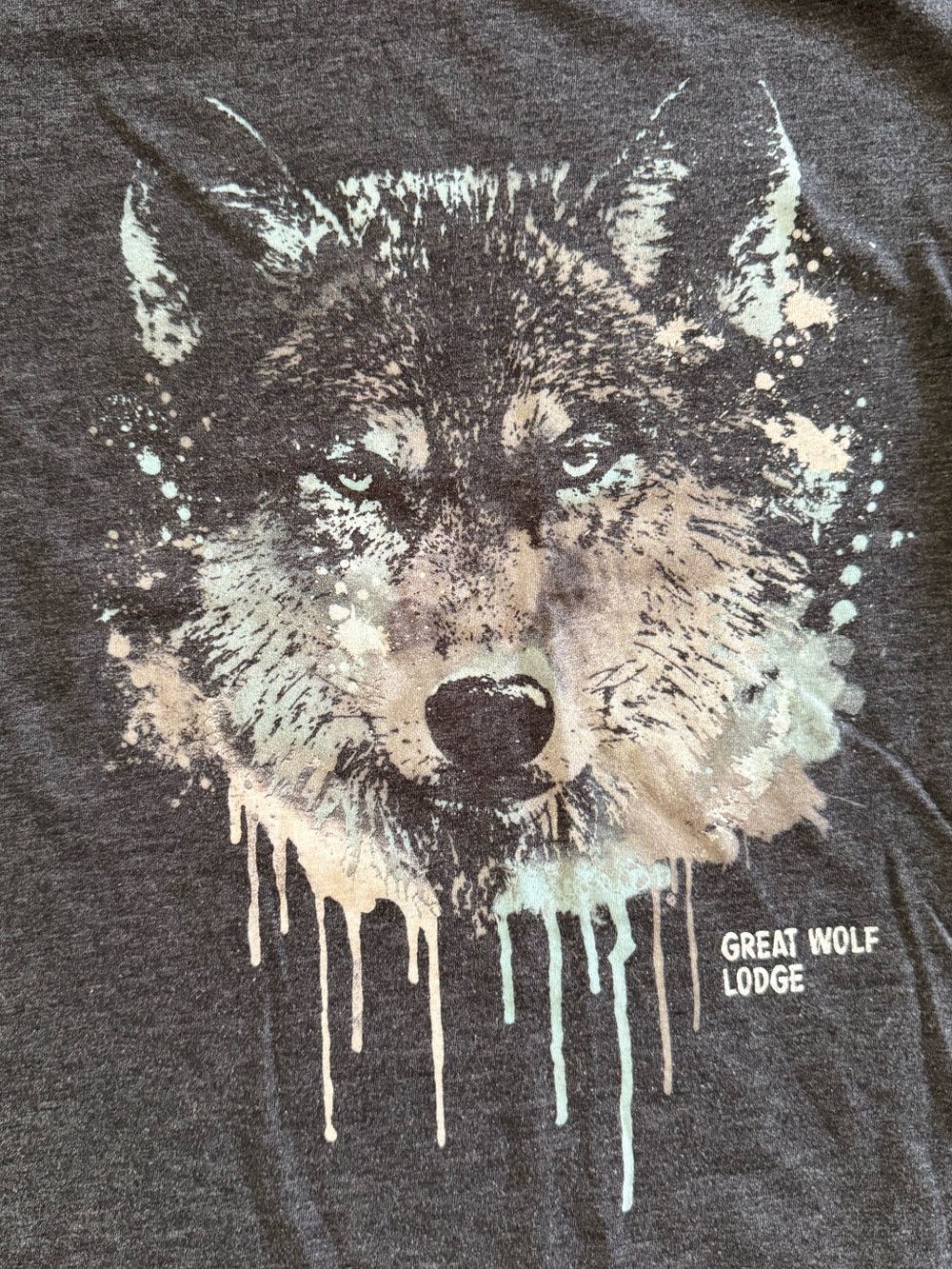 Great Wolf Lodge Women's Short-Sleeve Watercolor Wolf Graphic Tee in Charcoal